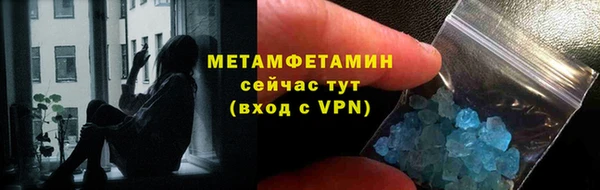прущие грибы Дмитров