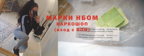 прущие грибы Дмитров