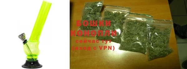 прущие грибы Дмитров