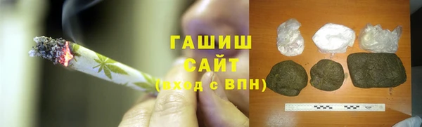 прущие грибы Дмитров