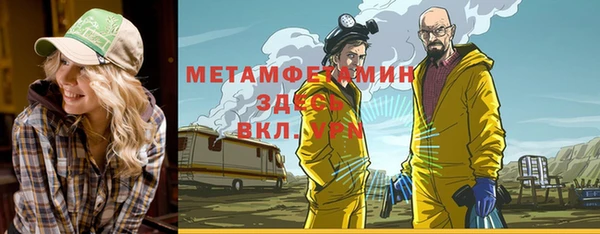 прущие грибы Дмитров