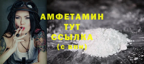 прущие грибы Дмитров