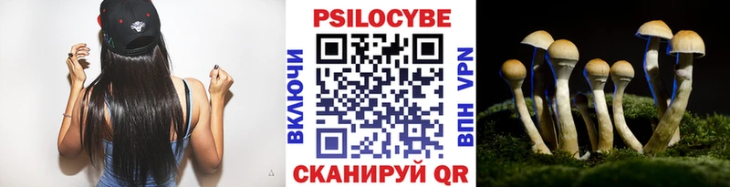 Галлюциногенные грибы Psilocybe  Купить  Сим 