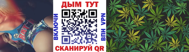 Купить где  Сим  Бошки Шишки SATIVA & INDICA 